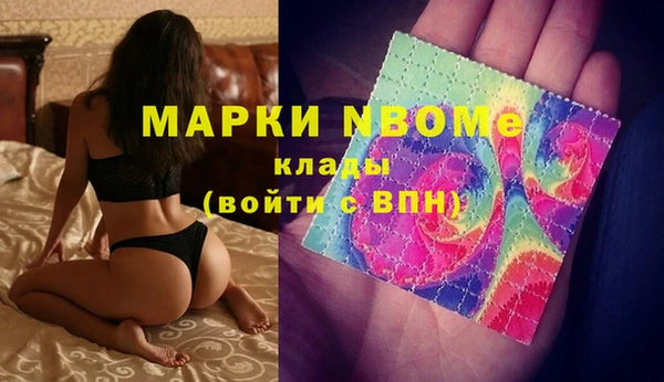 мяу мяу мука Баксан