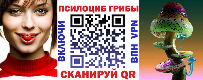 закладки  Бикин  Псилоцибиновые грибы MAGIC MUSHROOMS 